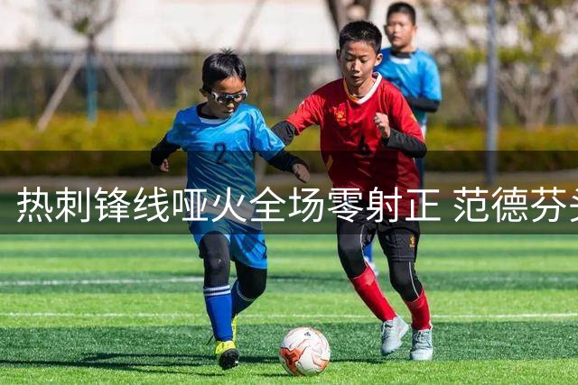 热刺锋线哑火全场零射正 范德芬头球险破僵局